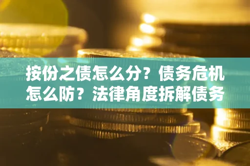 北京按份之债怎么分？债务危机怎么防？法律角度拆解债务分配与风险自保指南