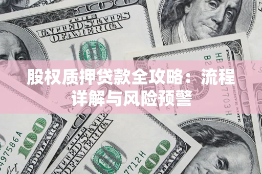 北京股权质押贷款全攻略：流程详解与风险预警