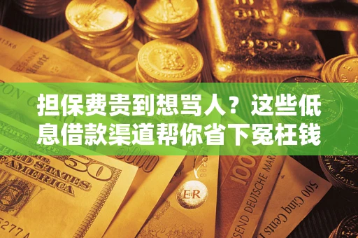 北京担保费贵到想骂人？这些低息借款渠道帮你省下冤枉钱