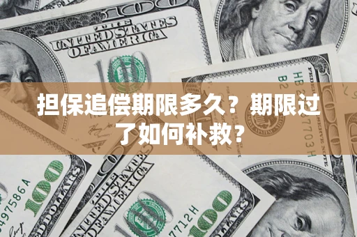 北京担保追偿期限多久？期限过了如何补救？