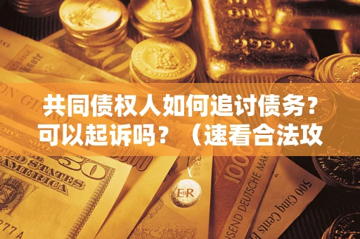 北京共同债权人如何追讨债务？可以起诉吗？（速看合法攻略）