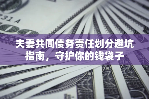 北京夫妻共同债务责任划分避坑指南，守护你的钱袋子