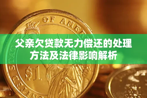 北京父亲欠贷款无力偿还的处理方法及法律影响解析